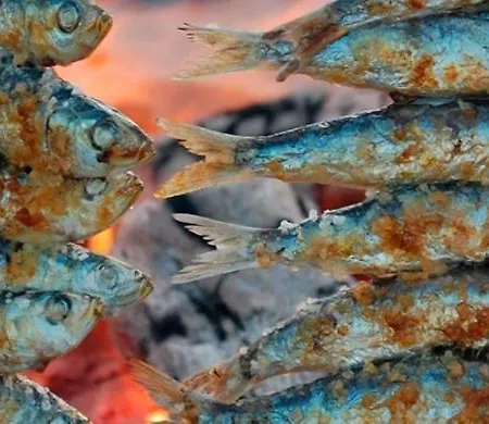 Coruna House Daire *